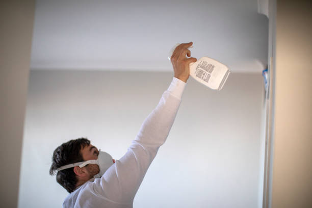 Best Crawl Space Mold Removal  in Iowa Falls, IA